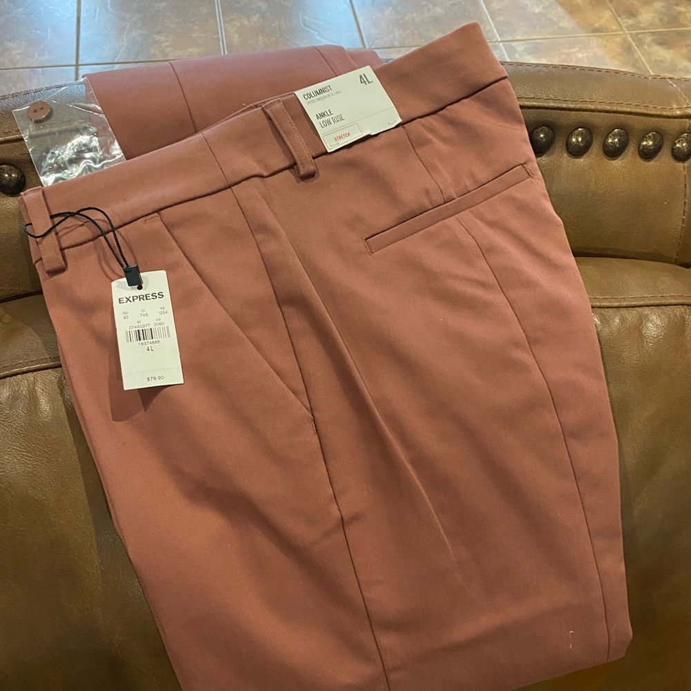 Express Columnist Dress Pants